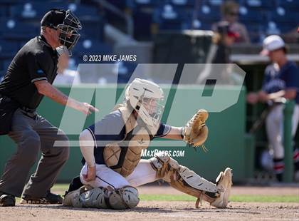 Thumbnail 3 in Northeast vs Palm Harbor University (BayCare Ballpark) photogallery.