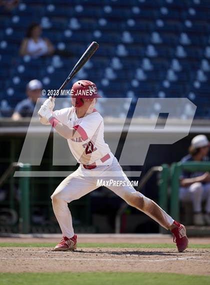 Thumbnail 3 in Northeast vs Palm Harbor University (BayCare Ballpark) photogallery.