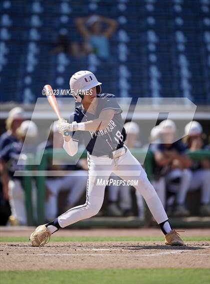 Thumbnail 1 in Northeast vs Palm Harbor University (BayCare Ballpark) photogallery.