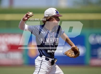 Thumbnail 3 in Northeast vs Palm Harbor University (BayCare Ballpark) photogallery.