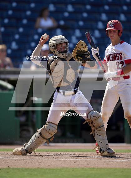 Thumbnail 2 in Northeast vs Palm Harbor University (BayCare Ballpark) photogallery.