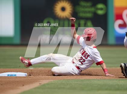 Thumbnail 2 in Northeast vs Palm Harbor University (BayCare Ballpark) photogallery.
