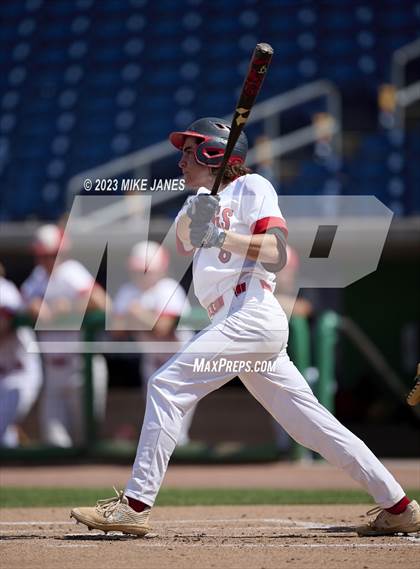 Thumbnail 1 in Northeast vs Palm Harbor University (BayCare Ballpark) photogallery.