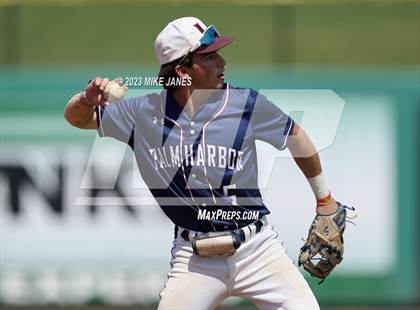 Thumbnail 1 in Northeast vs Palm Harbor University (BayCare Ballpark) photogallery.
