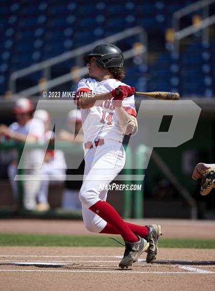 Thumbnail 3 in Northeast vs Palm Harbor University (BayCare Ballpark) photogallery.