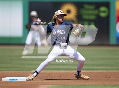 Thumbnail 2 in Northeast vs Palm Harbor University (BayCare Ballpark) photogallery.