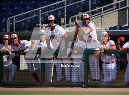 Thumbnail 1 in Northeast vs Palm Harbor University (BayCare Ballpark) photogallery.