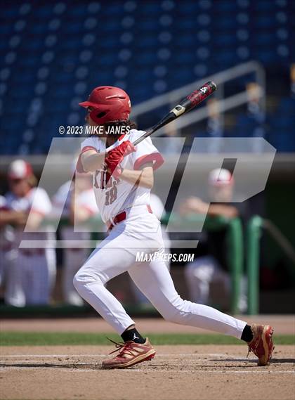 Thumbnail 1 in Northeast vs Palm Harbor University (BayCare Ballpark) photogallery.