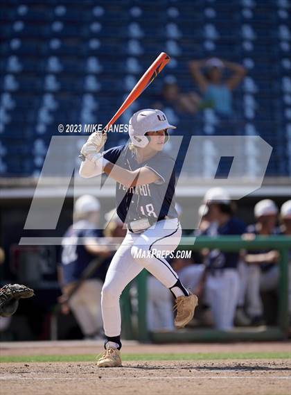 Thumbnail 2 in Northeast vs Palm Harbor University (BayCare Ballpark) photogallery.