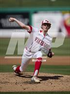 Photo from the gallery "Northeast vs Palm Harbor University (BayCare Ballpark)"