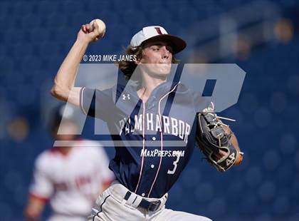 Thumbnail 1 in Northeast vs Palm Harbor University (BayCare Ballpark) photogallery.