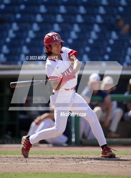 Thumbnail 1 in Northeast vs Palm Harbor University (BayCare Ballpark) photogallery.