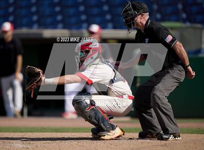 Thumbnail 1 in Northeast vs Palm Harbor University (BayCare Ballpark) photogallery.
