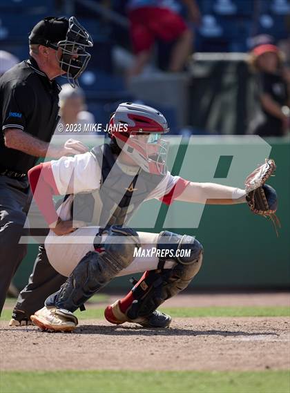 Thumbnail 2 in Northeast vs Palm Harbor University (BayCare Ballpark) photogallery.