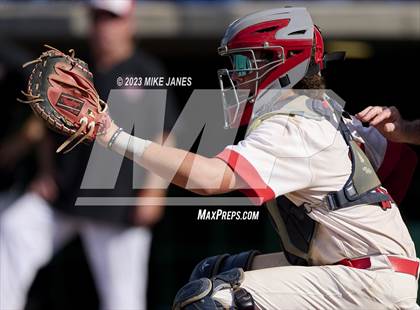 Thumbnail 2 in Northeast vs Palm Harbor University (BayCare Ballpark) photogallery.