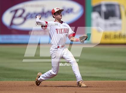 Thumbnail 3 in Northeast vs Palm Harbor University (BayCare Ballpark) photogallery.