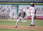 Photo from the gallery "Northeast vs Palm Harbor University (BayCare Ballpark)"
