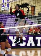 Photo from the gallery "Tyler Legacy @ Hallsville"