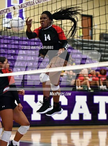 Thumbnail 2 in Tyler Legacy @ Hallsville photogallery.