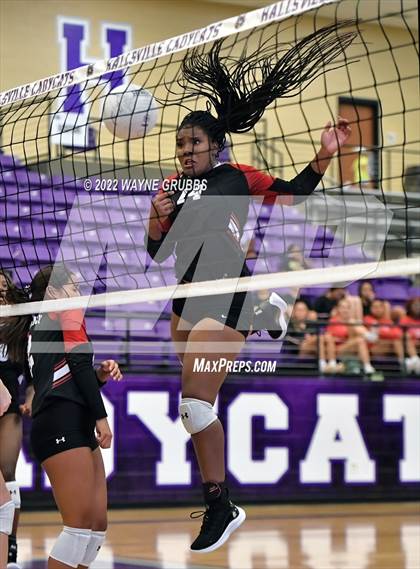 Thumbnail 1 in Tyler Legacy @ Hallsville photogallery.