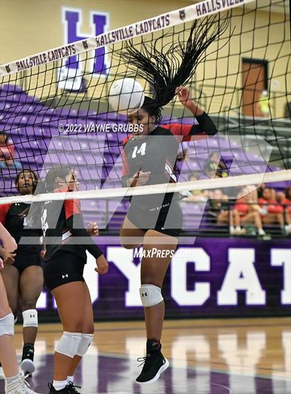 Thumbnail 2 in Tyler Legacy @ Hallsville photogallery.