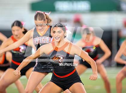 Thumbnail 1 in Evans @ Oviedo photogallery.