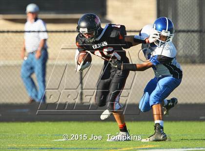 Thumbnail 3 in Rondout Valley @ Marlboro Central photogallery.
