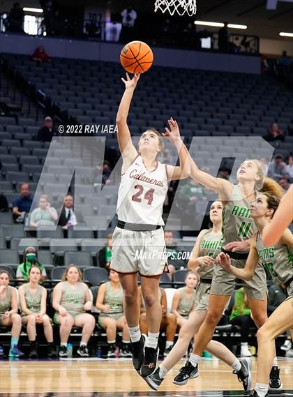 Thumbnail 1 in Calaveras vs. Dixon (CIF SJS D4 Final) photogallery.