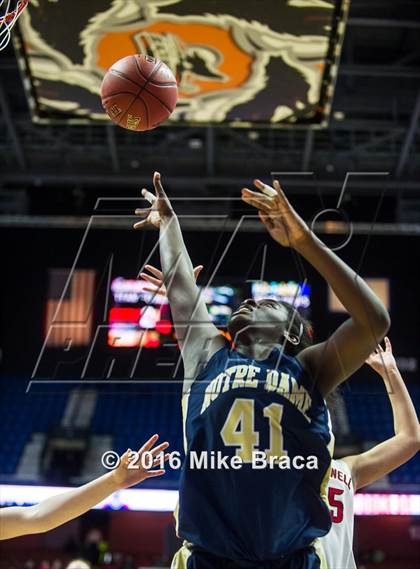 Thumbnail 2 in Cromwell vs. Notre Dame-Fairfield (CIAC Class M Final) photogallery.