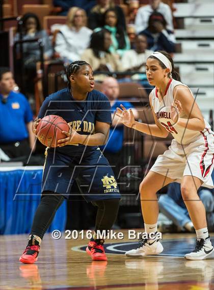 Thumbnail 1 in Cromwell vs. Notre Dame-Fairfield (CIAC Class M Final) photogallery.
