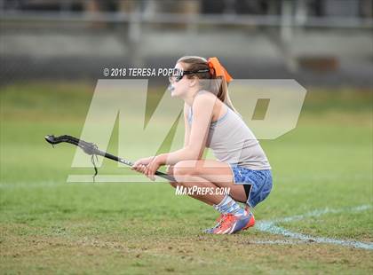 Thumbnail 3 in Wando vs. Mann (SCHSL AAAAA Upper State Championship) photogallery.