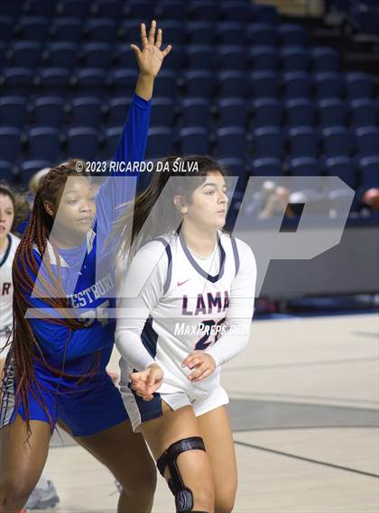 Thumbnail 1 in Lamar vs Westbury photogallery.