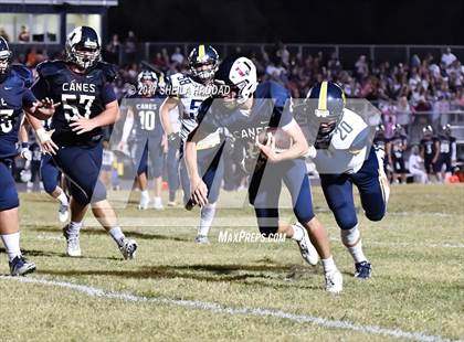 Thumbnail 2 in Steinbrenner @ Palm Harbor University photogallery.