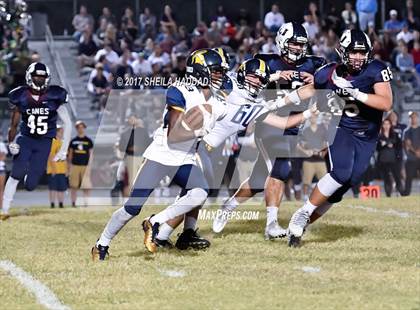 Thumbnail 1 in Steinbrenner @ Palm Harbor University photogallery.