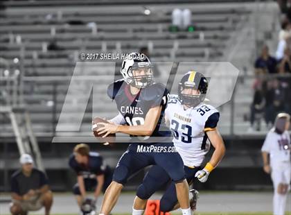 Thumbnail 3 in Steinbrenner @ Palm Harbor University photogallery.