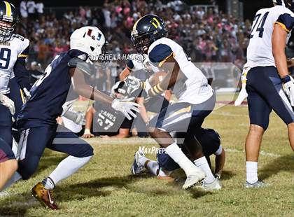 Thumbnail 2 in Steinbrenner @ Palm Harbor University photogallery.