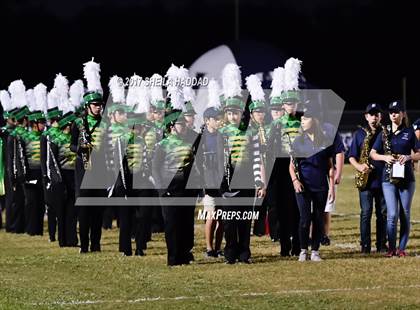 Thumbnail 2 in Steinbrenner @ Palm Harbor University photogallery.