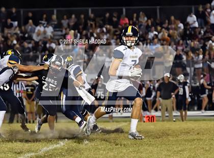 Thumbnail 3 in Steinbrenner @ Palm Harbor University photogallery.