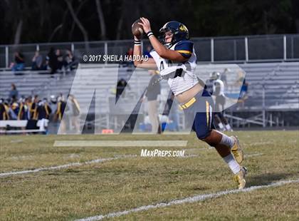 Thumbnail 3 in Steinbrenner @ Palm Harbor University photogallery.