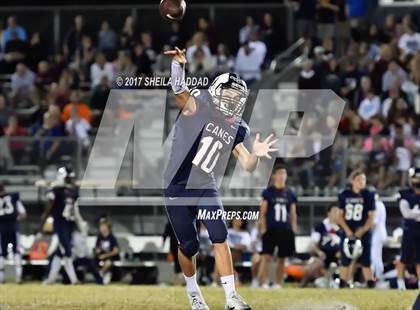 Thumbnail 2 in Steinbrenner @ Palm Harbor University photogallery.
