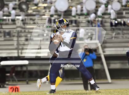 Thumbnail 3 in Steinbrenner @ Palm Harbor University photogallery.