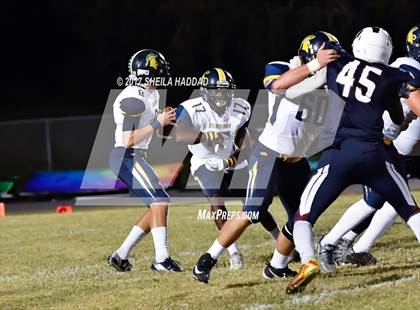 Thumbnail 2 in Steinbrenner @ Palm Harbor University photogallery.