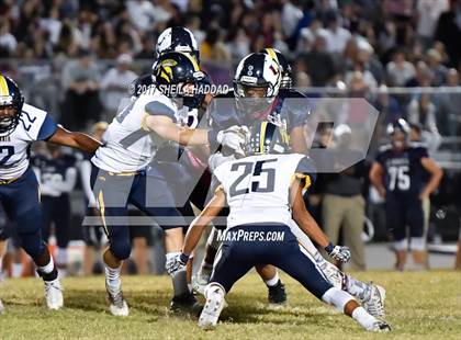 Thumbnail 3 in Steinbrenner @ Palm Harbor University photogallery.