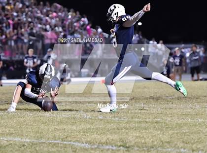 Thumbnail 3 in Steinbrenner @ Palm Harbor University photogallery.