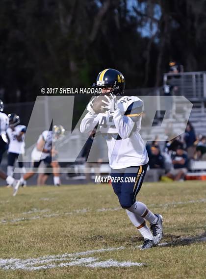 Thumbnail 1 in Steinbrenner @ Palm Harbor University photogallery.