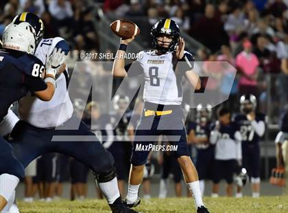 Thumbnail 2 in Steinbrenner @ Palm Harbor University photogallery.