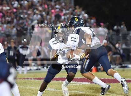 Thumbnail 3 in Steinbrenner @ Palm Harbor University photogallery.