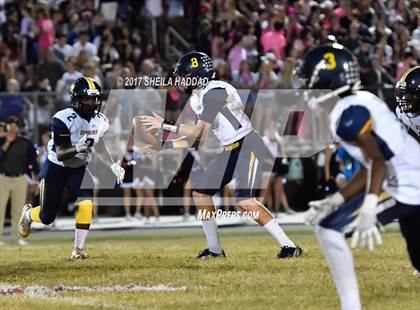 Thumbnail 3 in Steinbrenner @ Palm Harbor University photogallery.