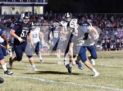 Thumbnail 1 in Steinbrenner @ Palm Harbor University photogallery.
