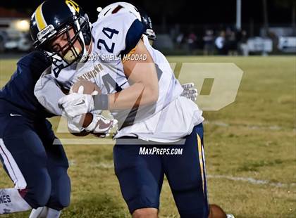 Thumbnail 1 in Steinbrenner @ Palm Harbor University photogallery.